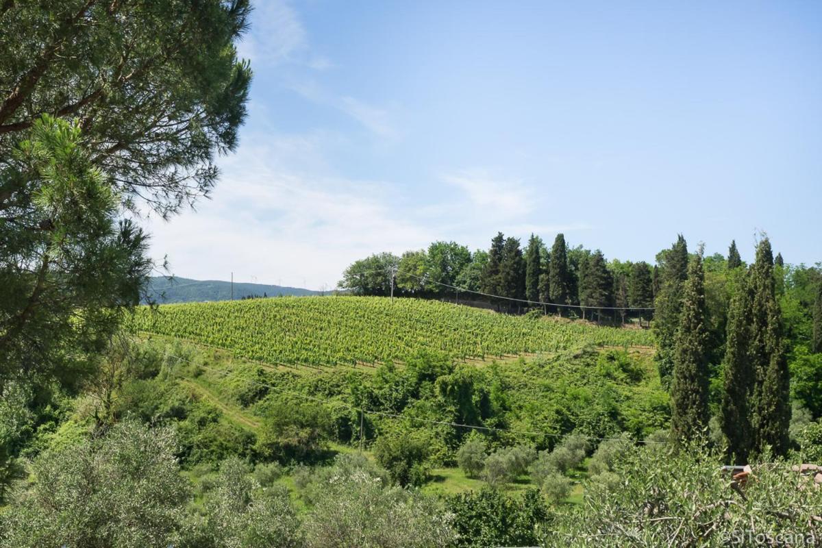 Agriturismo Terre Di Toscana Terricciola Εξωτερικό φωτογραφία