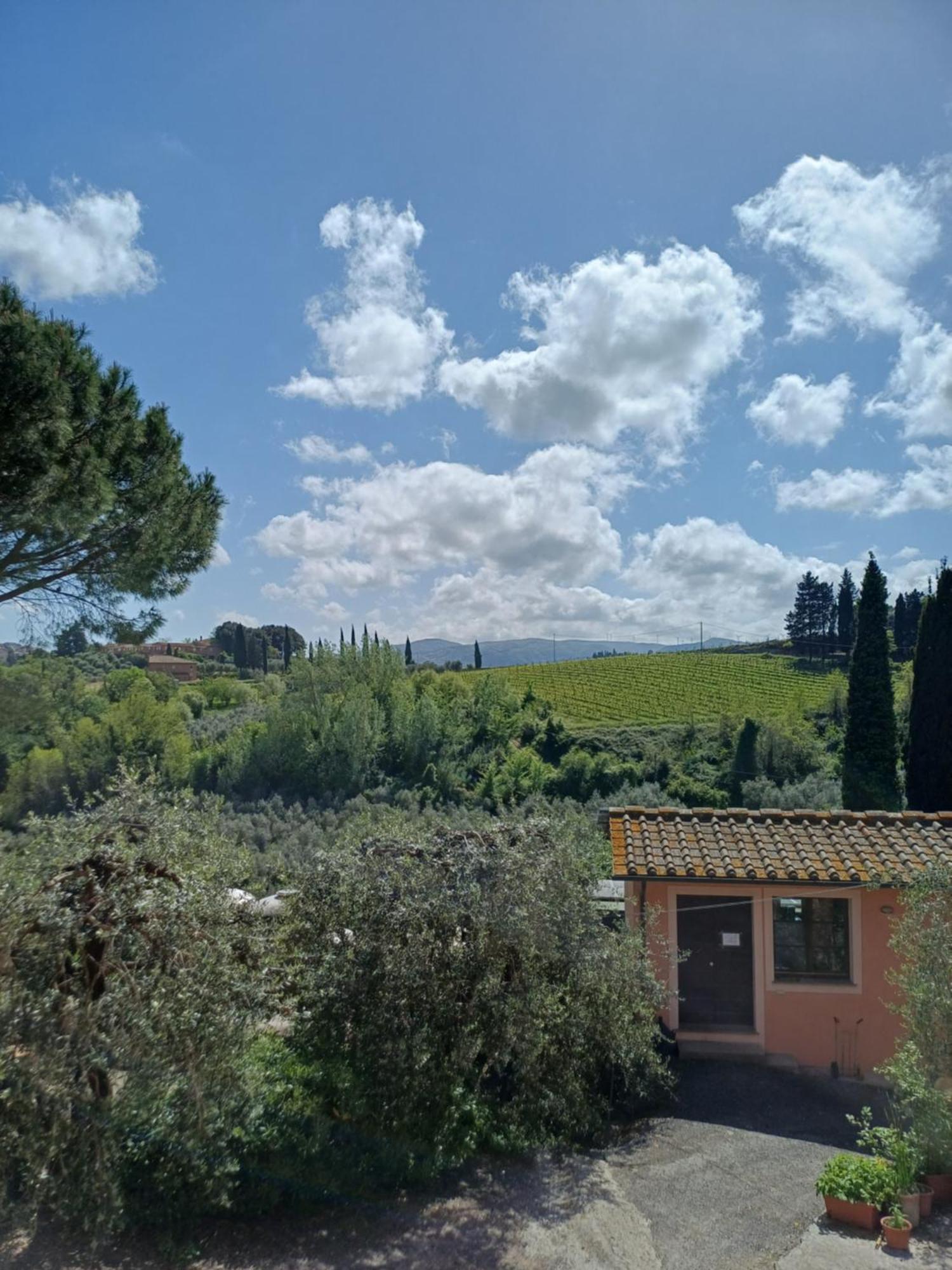 Agriturismo Terre Di Toscana Terricciola Εξωτερικό φωτογραφία